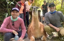 Short Inca Trail 2 Day Trek to Machu Picchu with Hotel Stay