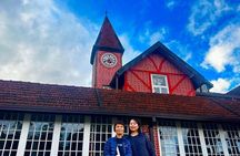 Private Day Tour Kandy to Nuwara Eliya with Tea Factory Visit