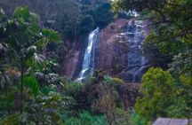 Private Day Tour Kandy to Nuwara Eliya with Tea Factory Visit