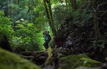 Monteverde Cloud Forest Tour from San Jose