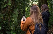 Monteverde Cloud Forest Tour from San Jose