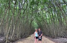 Explore Can Gio Mangrove Forest Eco Trekking And Nature Escape