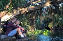 Explore Can Gio Mangrove Forest Eco Trekking And Nature Escape