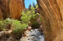 Kanarra Falls: Private Guided Hike + Picnic