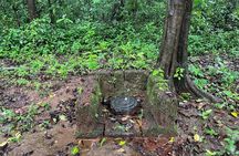 The Monsoon Trek at Tambdi Surla