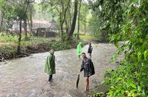 The Monsoon Trek at Tambdi Surla
