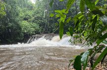 The Monsoon Trek at Tambdi Surla