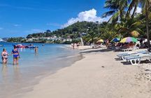 Grenada Nature Escape: Rainforest, Waterfall & BeachAdventure