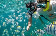 All-Inclusive Private Catamaran: Slide, Snorkel & Caribbean Vibes