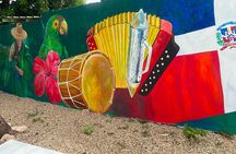 Puerto Plata City and Monkey House Tours
