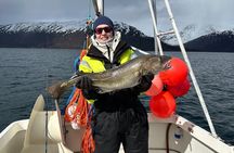 Private Fishing Tour Tromso Cabin Boat