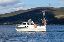 Private Fishing Tour Tromso Cabin Boat