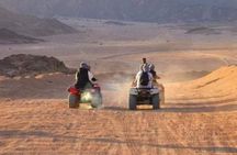 Go wild and drive quad
