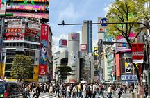 Tokyo Private Half-Day Highlights Tour by Car with Guide