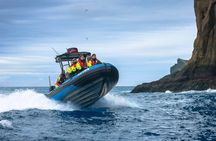 1 Hour RIB Boat Tour