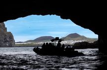 1 Hour RIB Boat Tour