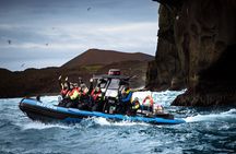 1 Hour RIB Boat Tour