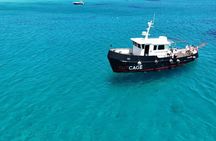 Golfo Aranci group day : all inclusive yacht with dolphins