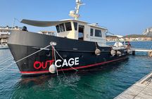 Golfo Aranci group day : all inclusive yacht with dolphins