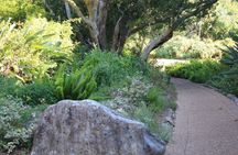 Private Paragliding Adventure and Constantia Wine Tasting Tour