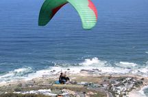 Private Paragliding Adventure and Constantia Wine Tasting Tour
