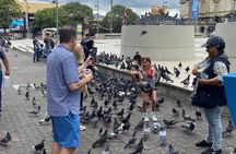 San Jose City Tour and Central Market with Local Food Tasting