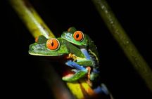 La Fortuna Night tour.
