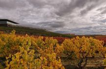 Authentic Rioja Full Day Tour | Wine Culture and Heritage
