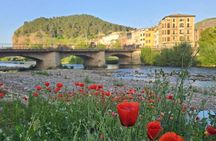 Authentic Rioja Full Day Tour | Wine Culture and Heritage