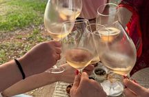 Private Group Sensory Wine Tasting or Wine and Yoga in Maine
