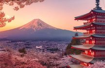 9 Hour Private and Custom Tokyo Tour with English Speaking Driver