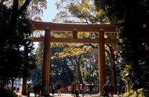9 Hour Private and Custom Tokyo Tour with English Speaking Driver