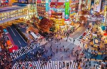 9 Hour Private and Custom Tokyo Tour with English Speaking Driver