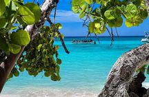 Excursión a Isla Saona con recogida en Bávaro y Cabeza de Toro