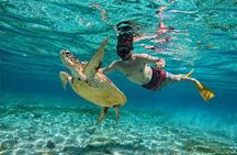Gili Air Private Snorkeling Tour with Sea Turtles & Free GoPro