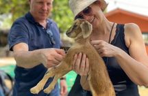 Krabi Cultural Tour with Koh Klang and Longtail Boat Ride