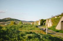 Tokaj Wine Tasting with Tokaji Aszú and Tapas in a UNESCO Cellar