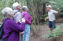 Exclusive Coromandel Scenic Nature and History Day Tour