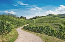 Ammerschwihr: Vineyards, winery and tasting Guide 6 Alsatian wines