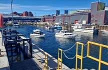 Nuuk Fjord Cruise with Greenlandic Picnic & Local Storytelling