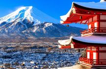 Mount Fuji and Lake Kawaguchi Small Group Minibus Tour from Tokyo