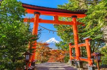 Mount Fuji and Lake Kawaguchi Small Group Minibus Tour from Tokyo