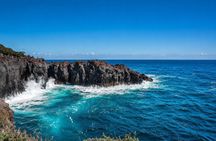 Private Izu Coast Day Trip from Tokyo