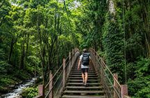 Private Izu Coast Day Trip from Tokyo