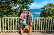 Private Izu Coast Day Trip from Tokyo