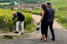 Small Group Champagne Tour from Paris, Tastings and Hotel Pickup