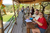 Visit to the Farm with Tasting of Cold cuts and bruschetta