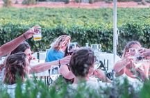 Authentic Family Winery Tour and Tasting in Mallorca