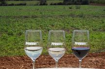 Authentic Family Winery Tour and Tasting in Mallorca