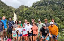 Hilo Cruise Day Tours
